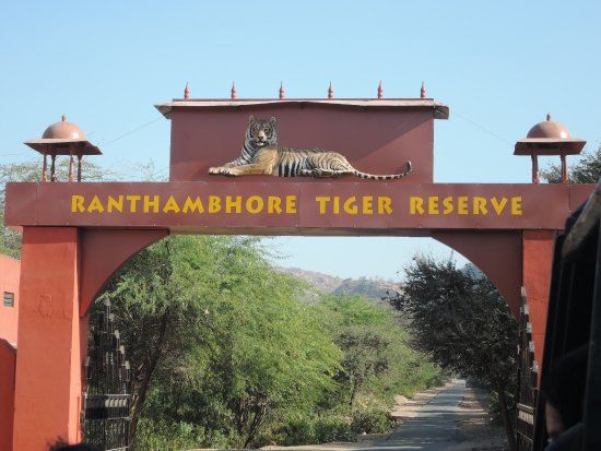 Ranthambore National Park
